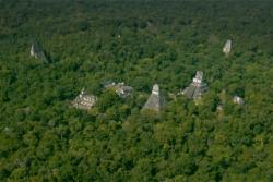 Drevno čudo u Gvatemali: Arheolozi pronašli  više od 60 000 građevina iz vremena Maja