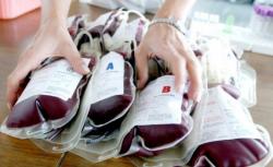 Trebinje: Demobilisani borci darovali krv
