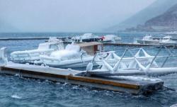 Заледило се Јадранско море (ФОТО)