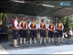 Tradicionalni Trojičindanski sabor kod Dobrićeva, 2015. (VIDEO)