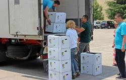 Nijemci podijelili 15.000 sadnica kornišona za četiri proizvođača u Trebinju