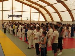 Одржан 4. Међународни џудо турнир у Берковићима (ФОТО и ВИДЕО)