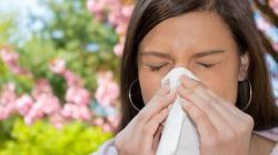 Udvostručen broj ljudi koji pate od alergija