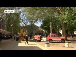 Akcija hemijske zaštite platana na svim lokalitetima u gradu (VIDEO)