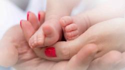 Udruženje Bebe: Zahvalnost Dodiku na inicijativi za finansiranje treće vantjelesne oplodnje