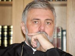 Odluka Sabora SPC: Vladika Grigorije novi episkop u Njemačkoj