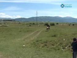 На путу за катун (ВИДЕО)