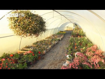  Требиње: Позив за додјелу 35 пластеника (ВИДЕО)