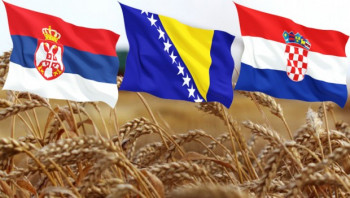 BLOG JEDNOG HERCEGOVCA U BEOGRADU: Kap mira među nama