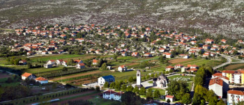 Prepolovljenu sadnju u Ljubinju prepolovila bolest: Duvan na izdisaju