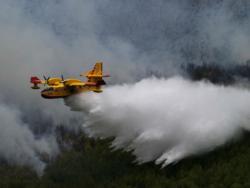 Gori 30 hektara borove šume u Dubrovačkom primorju