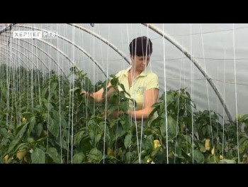 Agrarni fond: Sve više žena u Trebinju se bavi poljoprivredom (VIDEO)
