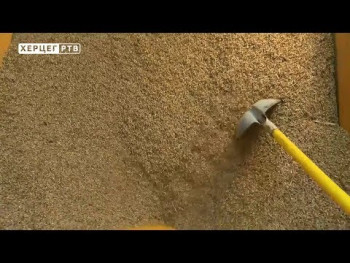 Agrarni fond: Kako registrovati poljoprivredno gazdinstvo? (VIDEO)