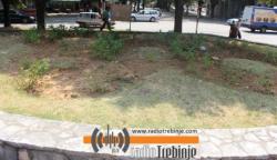 Šta znači cvijetno 88 na Ložioni?