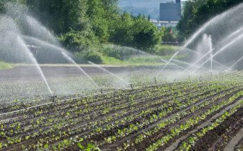 Oranicama od proljeća u Trebinju neće faliti vode