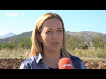 Agrarni fond savjetuje: Prije sadnje u voćnjaku uraditi detaljnu pripremu (VIDEO)