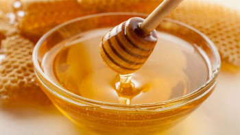 Natprosječna godina za hercegovačke pčelare