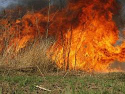 Požar oko Mostara bjesni već treći dan