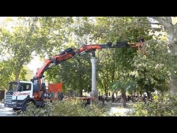 Trebinje: Počela sanacija stabala platana i kestena (VIDEO)