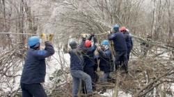 Gacko, Bileća i Berkovići dobili struju