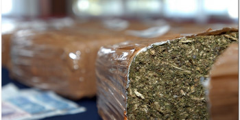 U Dubrovačkom akvatorijumu plutalo  156 kilograma marihuane