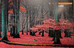 Deveta Klupska izložba fotografija: Prve nagrade Dušanu Vukoviću i Jovanu Vidakoviću