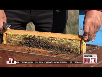 Vijesti u 16:30 (VIDEO)