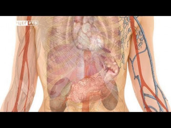 Kako prepoznati i liječiti oboljenje jetre? (VIDEO)