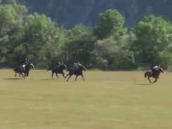 Коњичке трке: Билећа 2015 (ВИДЕО)