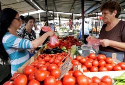 КОГА БРИГА ЗА СРПСКОГ СЕЉАКА: Албански парадајз уништио српски