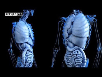 Правилном исхраном до добре пробаве (ВИДЕО)