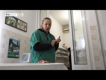 Obavezan pregled mesa na trihinelu (VIDEO)