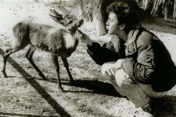 Након 28 година изашла посљедња пјесма Неше Лептира