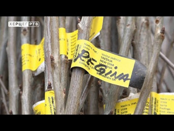 Аграрни фонд Требиње: У двије године 800.000 КМ ЗА РАЗВОЈ ПОЉОПРИВРЕДЕ (ВИДЕО)