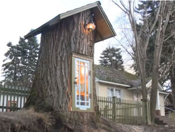 Od 110 godina starog drveta nastala najoriginalnija i najslađa biblioteka (VIDEO)