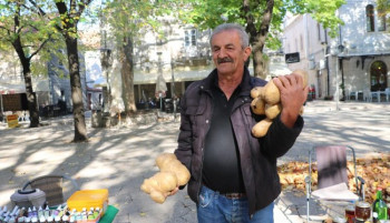 Džinovski krompir stigao do trebinjske pijace