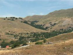 Održan tradicionalni sabor 