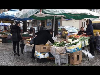 Povećane cijene sjemenskog luka i krompira glavobolja za proizvođače i buduće kupce (VIDEO)