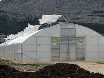 Trebinje: Vjetar nanio veliku štetu na privrednim objektima (FOTO)