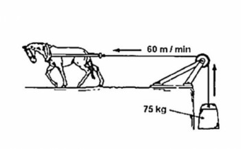 Šta je to 'konjska snaga' motora?