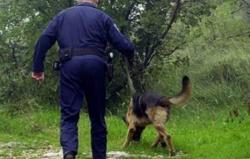 Ratko Šipovac pronađen živ i zdrav