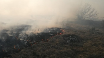 Гатачки ватрогасци за пожар криве људски фактор: Овдје ништа не може помоћи него киша (ФОТО)