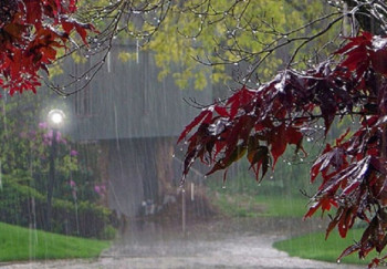 Данас претежно облачно са кишом