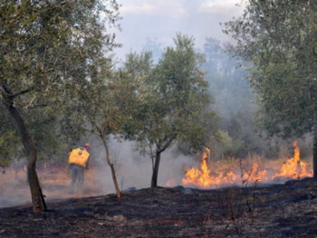 Nevesinje: Apel građanima da ne pale vatru na otvorenom