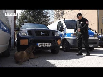 Реа, Ник и Кимбо: Требињски чувари реда којима ништа не може промаћи (ВИДЕО)