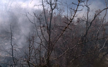 Aktivan požar na Trebinjskim brdima