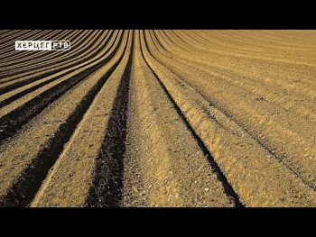 Подстицаји за пољопривредна газдинства уз пријаву доприноса (ВИДЕО)