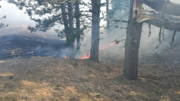Aktivna četiri požara, ne prijete imovini građana
