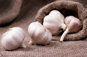 Бијели лук скупљи од килограма меса