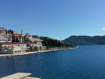 У Неуму о статусу и изазовима тржишта у енергетској транзицији